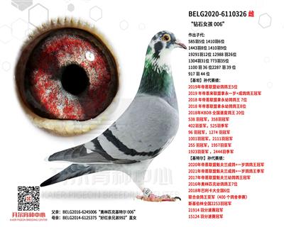 @ʯŮ 006