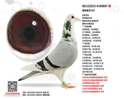 ߱ѩ 887