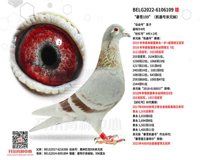 ѩ109C(j)̖(ho)Hã