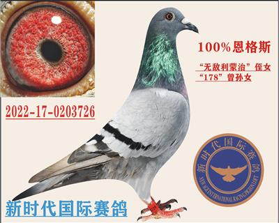 oΡֶŮ. 178OŮ