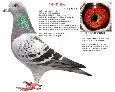 .˹ֱŮ