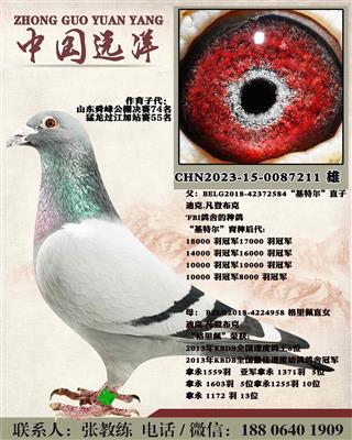 基特尔
