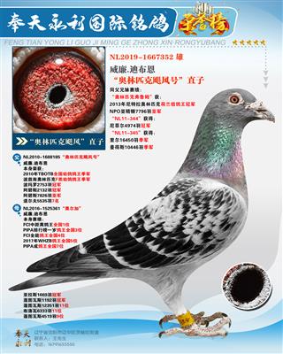 .ϲƥ쫷硱ֱ