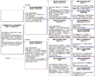 Ѫy(tng)