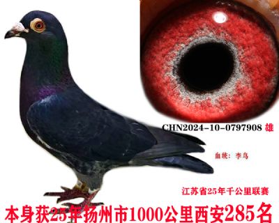 28516