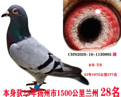 m286