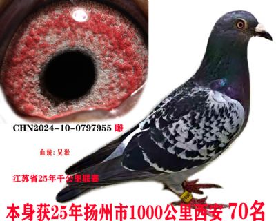 702