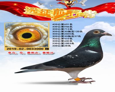 李鸟