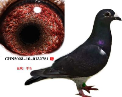 889937bf1cd440ed4475fd7e0814f84
