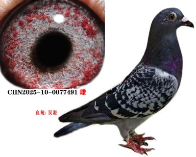 4cb65d82965f65af17f21740bca7bb9