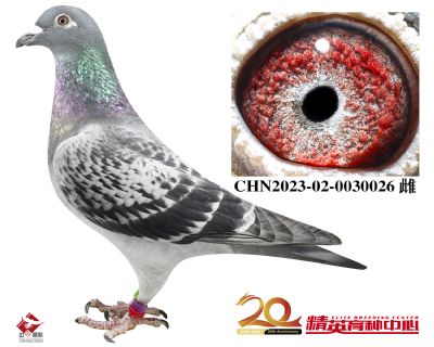 CHN2023-02-0030026 拷贝