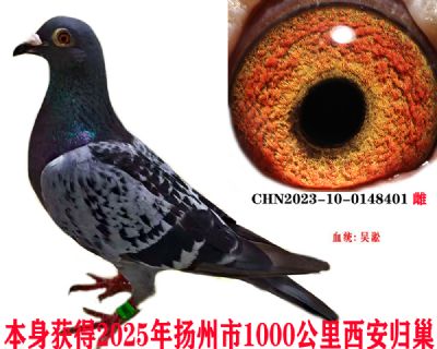 daeca6a020f477b326f86405d17cbae