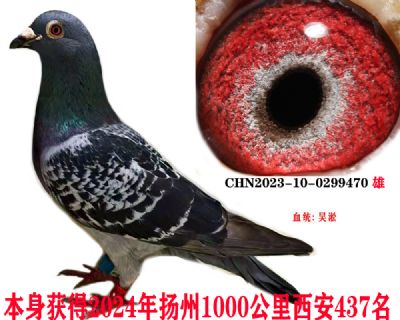 107815d78cd1fe94ee1b6944d924825