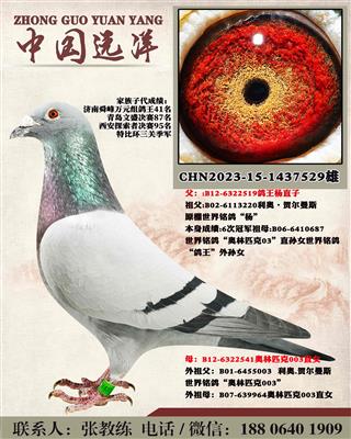 겻ɿQ