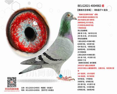 Wƥ顿006ֱӡֱŮ
