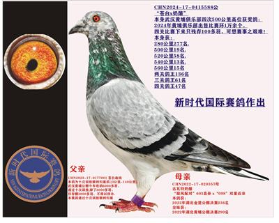 hSҾ㘷Ĵ500λ@