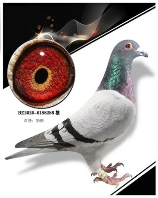 286