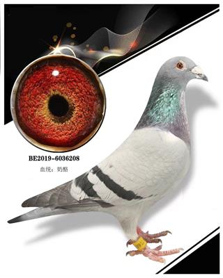 208