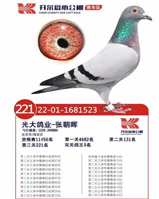 _ꠣ221