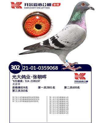 _302