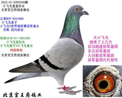 ȡСɸ꡿ֱŮ