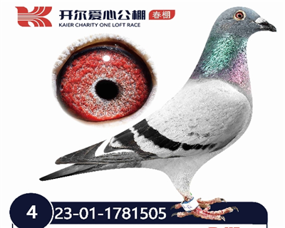 505