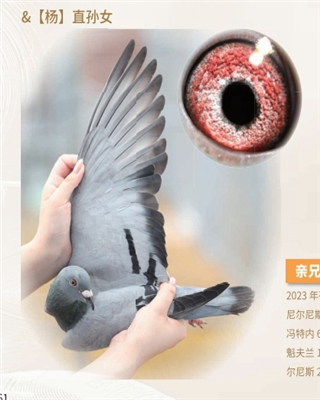 ɫˡֱŮ