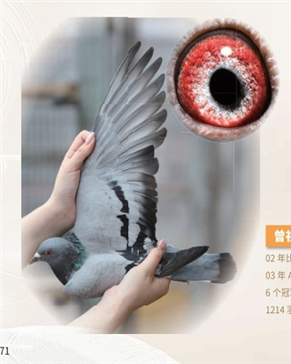 ֱOWƥ̖ٶֱ̖Ů4
