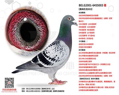 Wƥ003