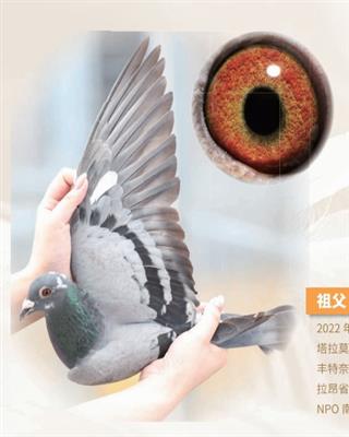 ĪݿˡWԪ4