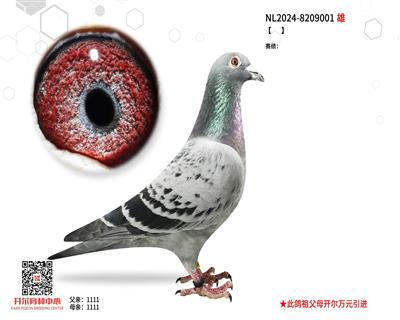 WԪ̖(ho)HѪOWԪ23