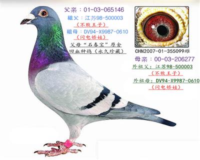 ʯӡX罿ޡ˫ؽ