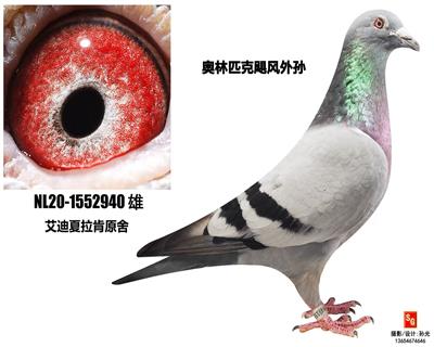 740