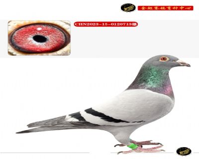³Ǿֱ