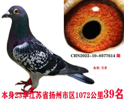 24f0571225c5a6646b87c1f44111cb7