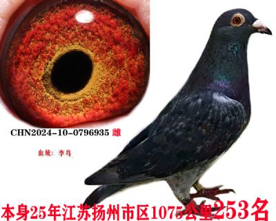 122779a60895ef25dfa4d38ba4711e5