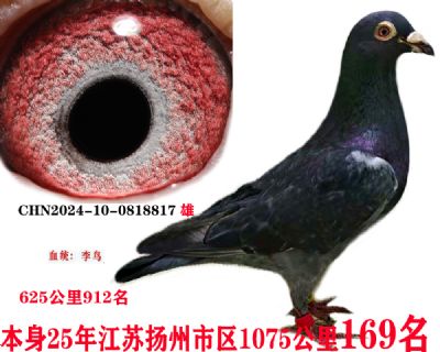b51ea22e1a7e18d3b5d06204094e6b9