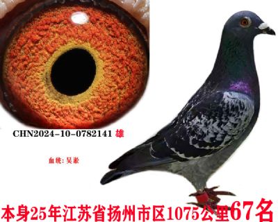 f8746c5e9a6b34a0df0b73b4c0c008f