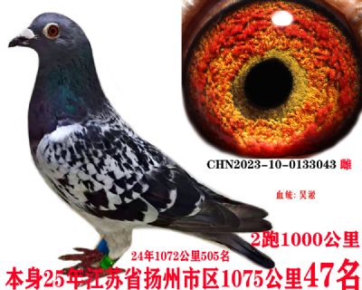 07e77b7255533ba43d71cf2f63ab9c9