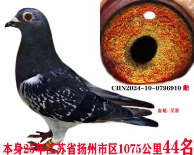 8b5aac6af6b9a36662e7e2096331eb0