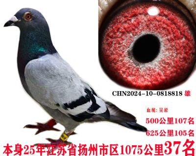 9dd1b98893c2370a1d898ce128ed7fc