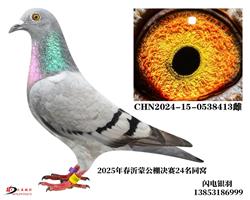 Ů/24ͬ