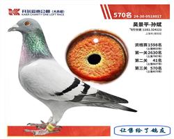 ￪570