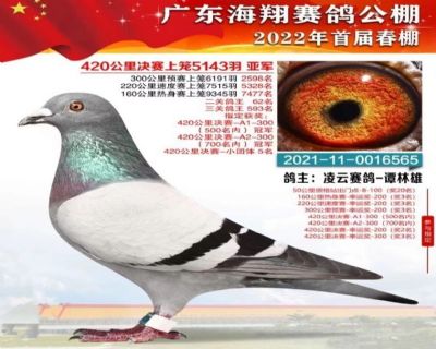 û