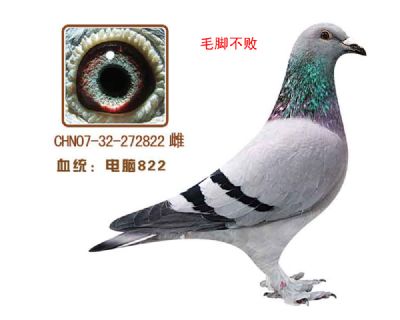 822(ëŲ)