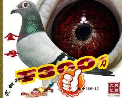 ĸ