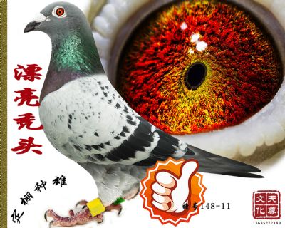 Ưͺͷ