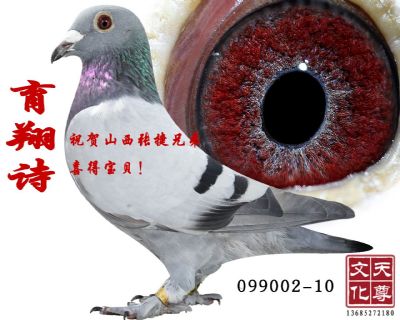 ʫ