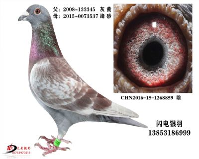 / S䌦(du)ֱO