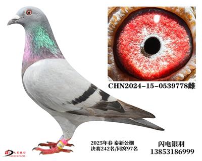 2025괺̩¹Qِ242/ZD